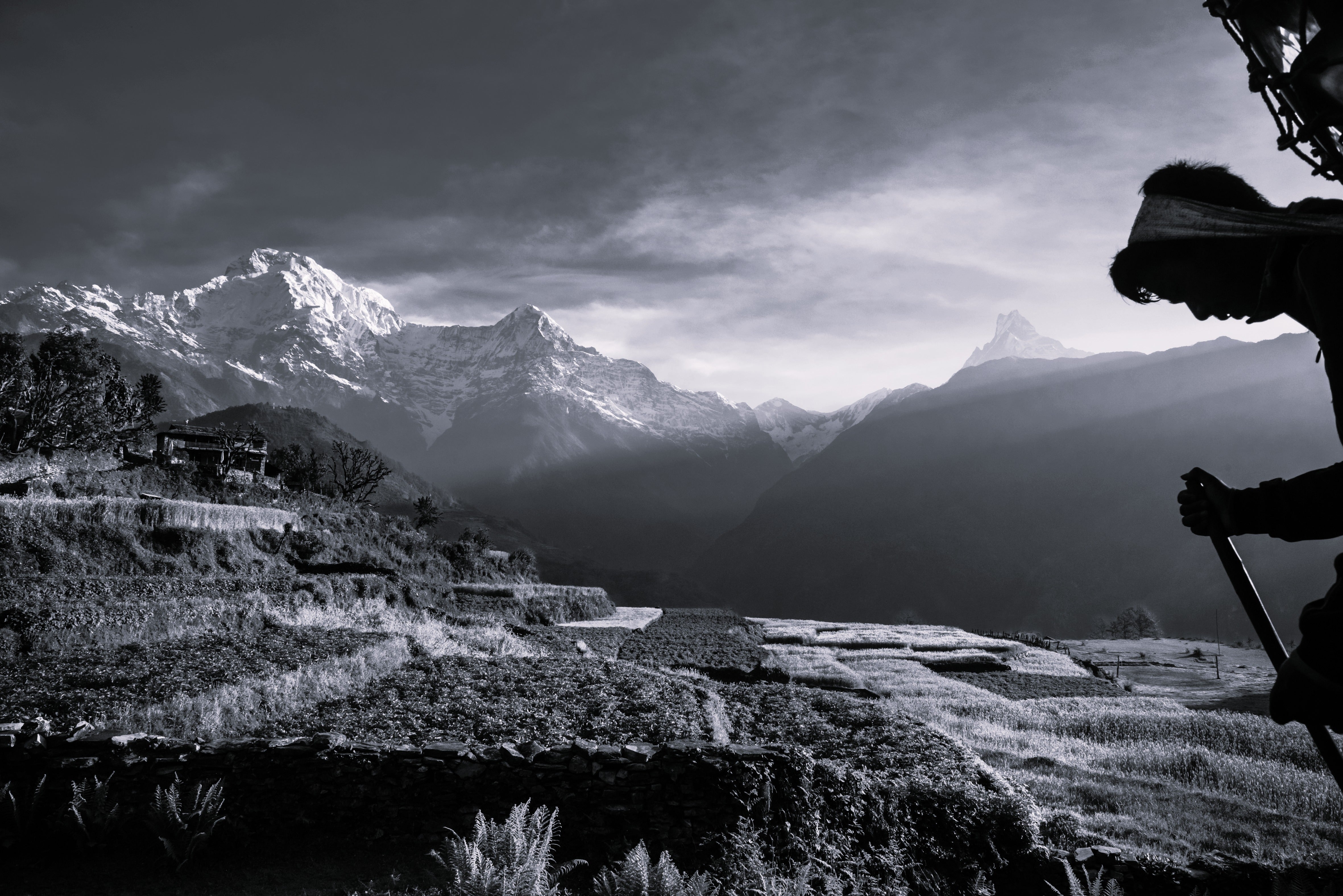 Daulaghiri: Une histoire haute en montagnes!