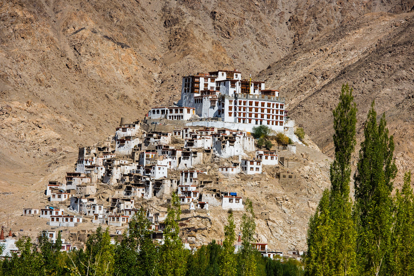 Zanskar et Chang Tang : la géologie et la biologie heureuse