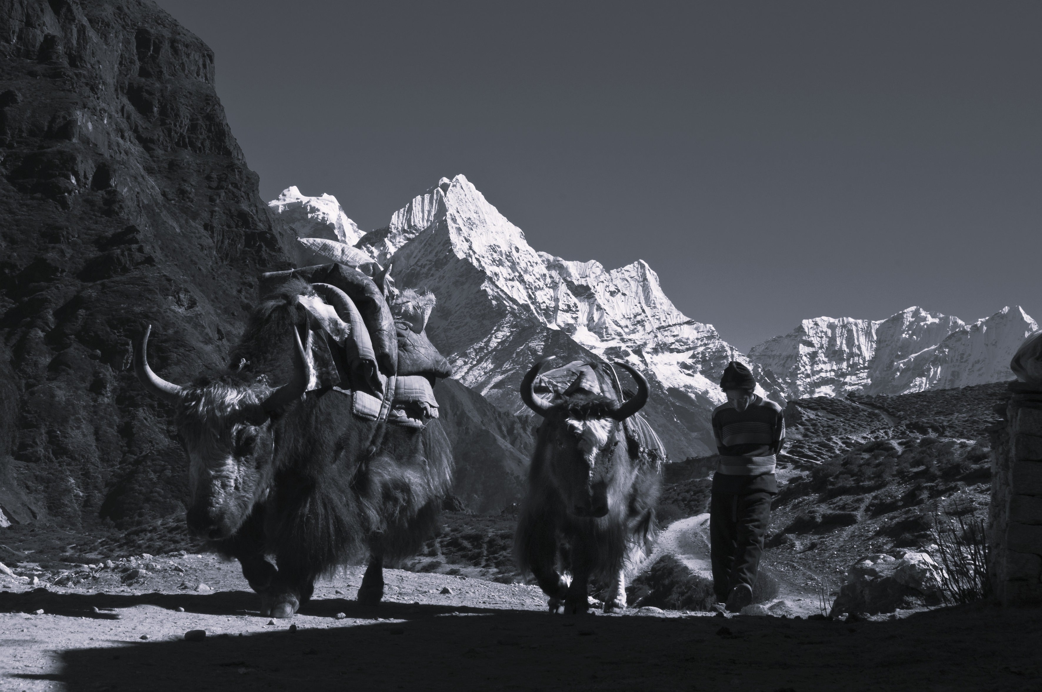 Everest par le Sumnla La