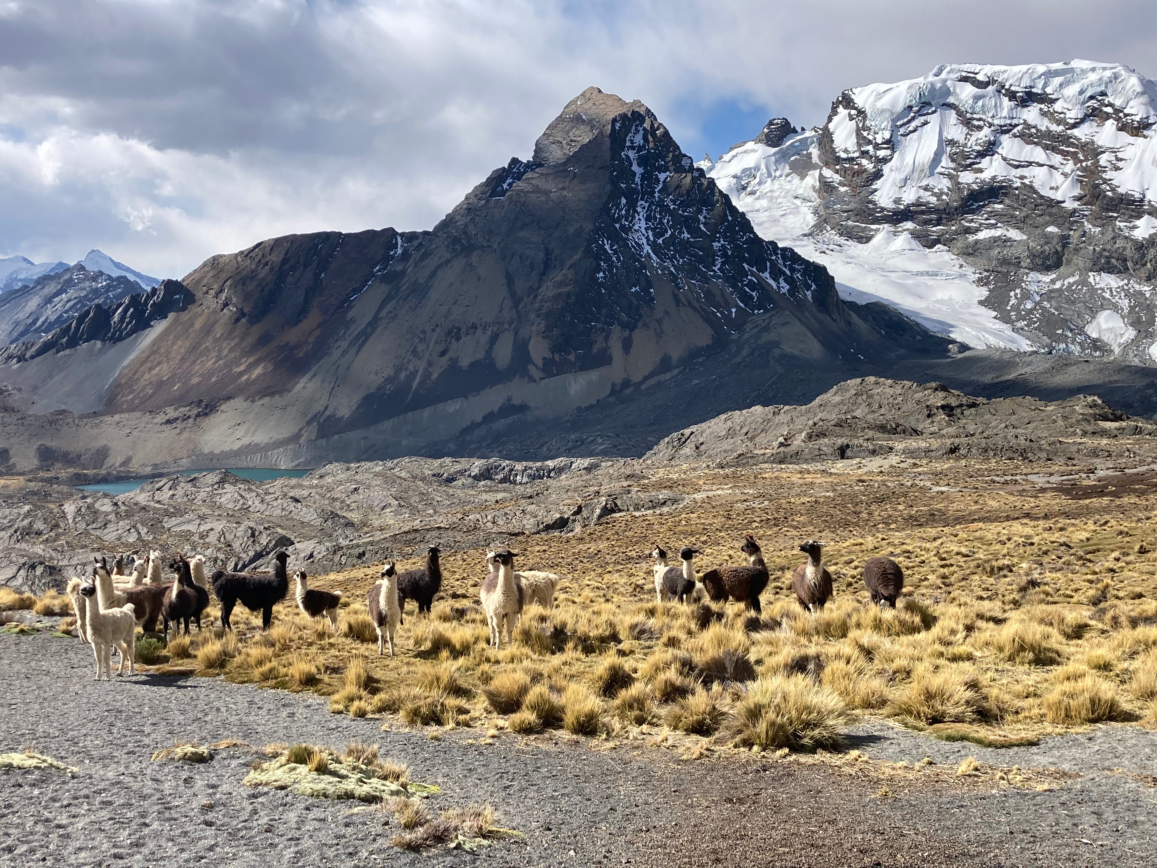 Des hauteurs du Titicaca aux crêtes andines oubliées