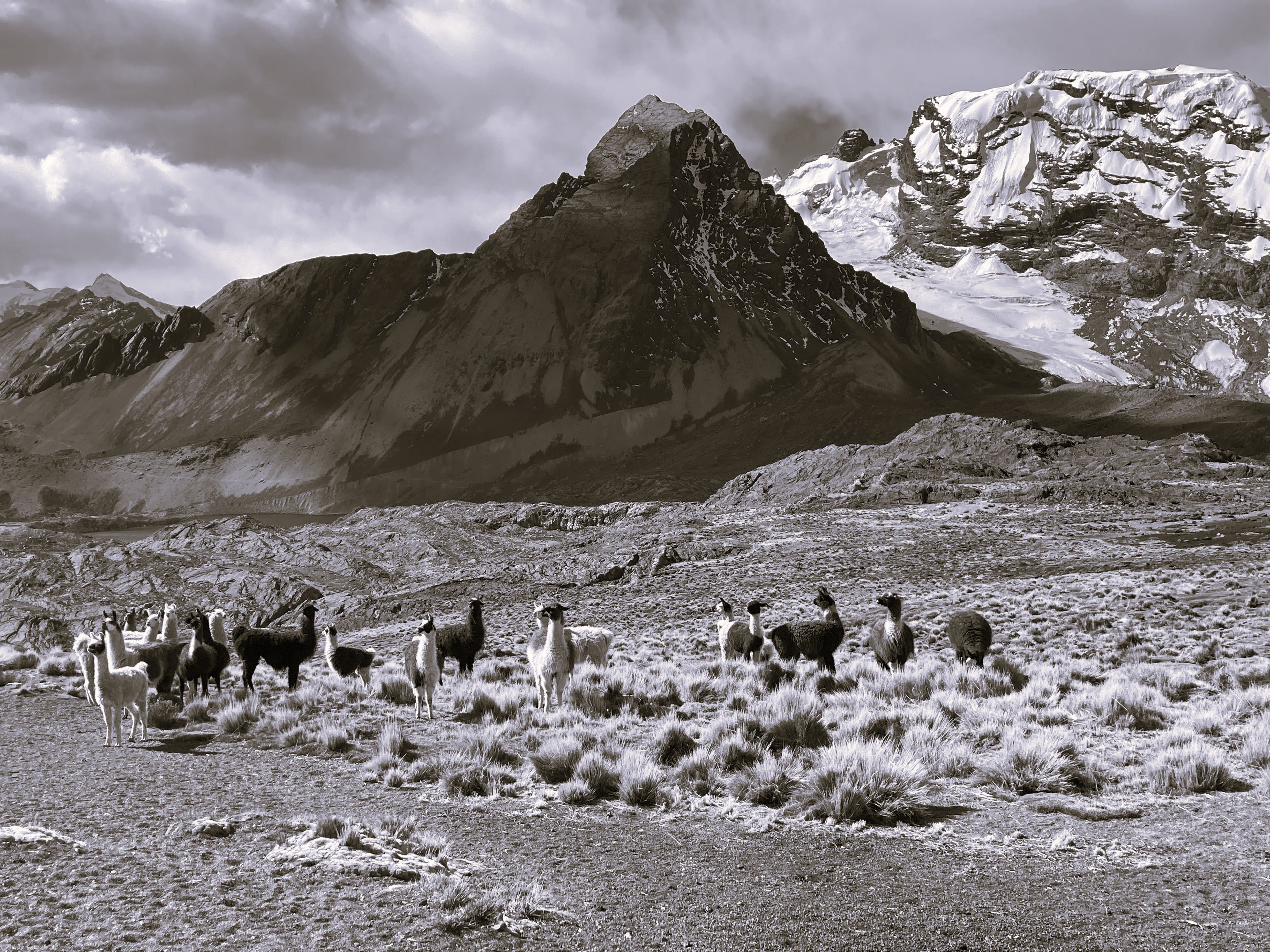 Des hauteurs du Titicaca aux crêtes andines oubliées
