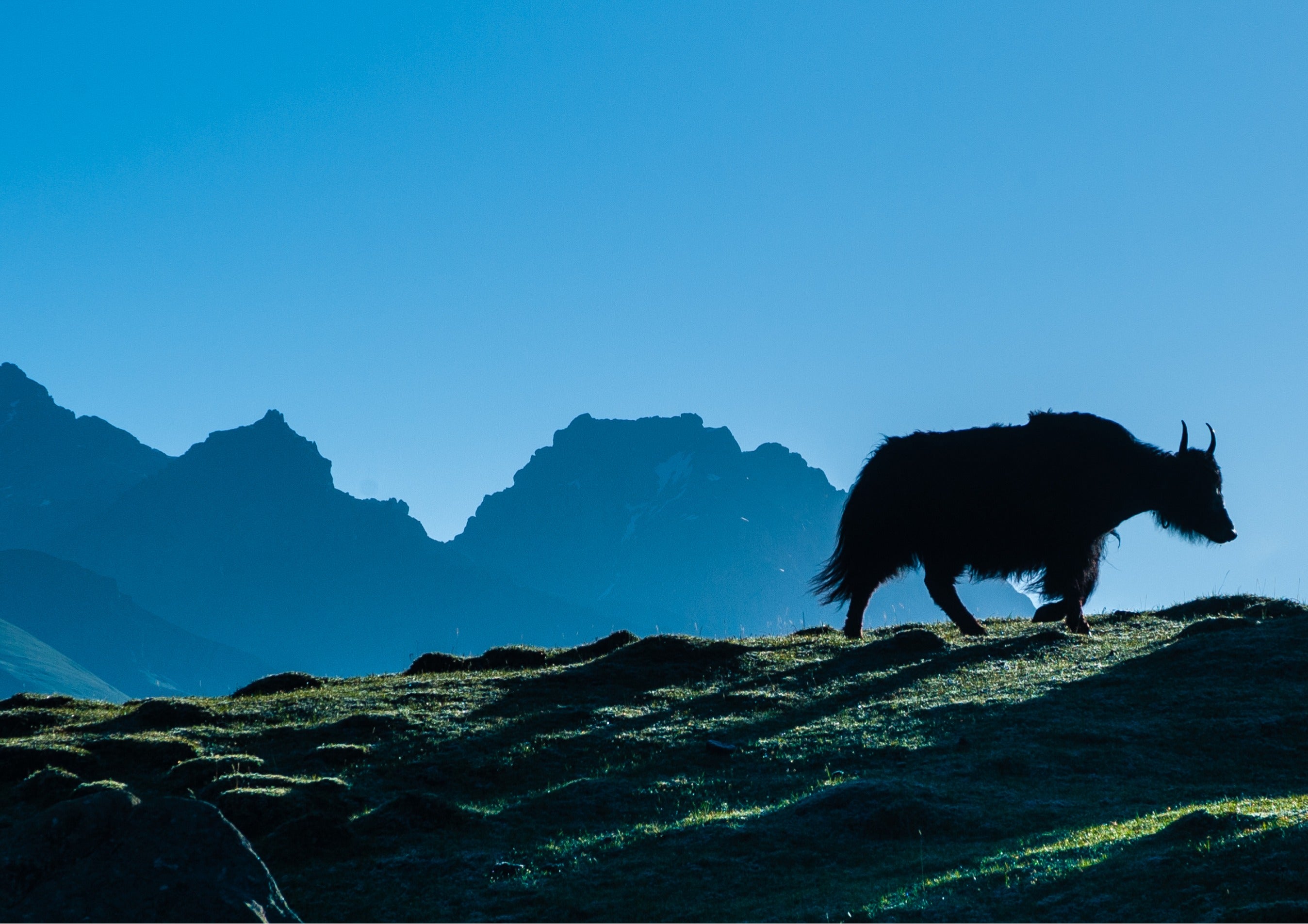 Kham, la tête dans le ciel