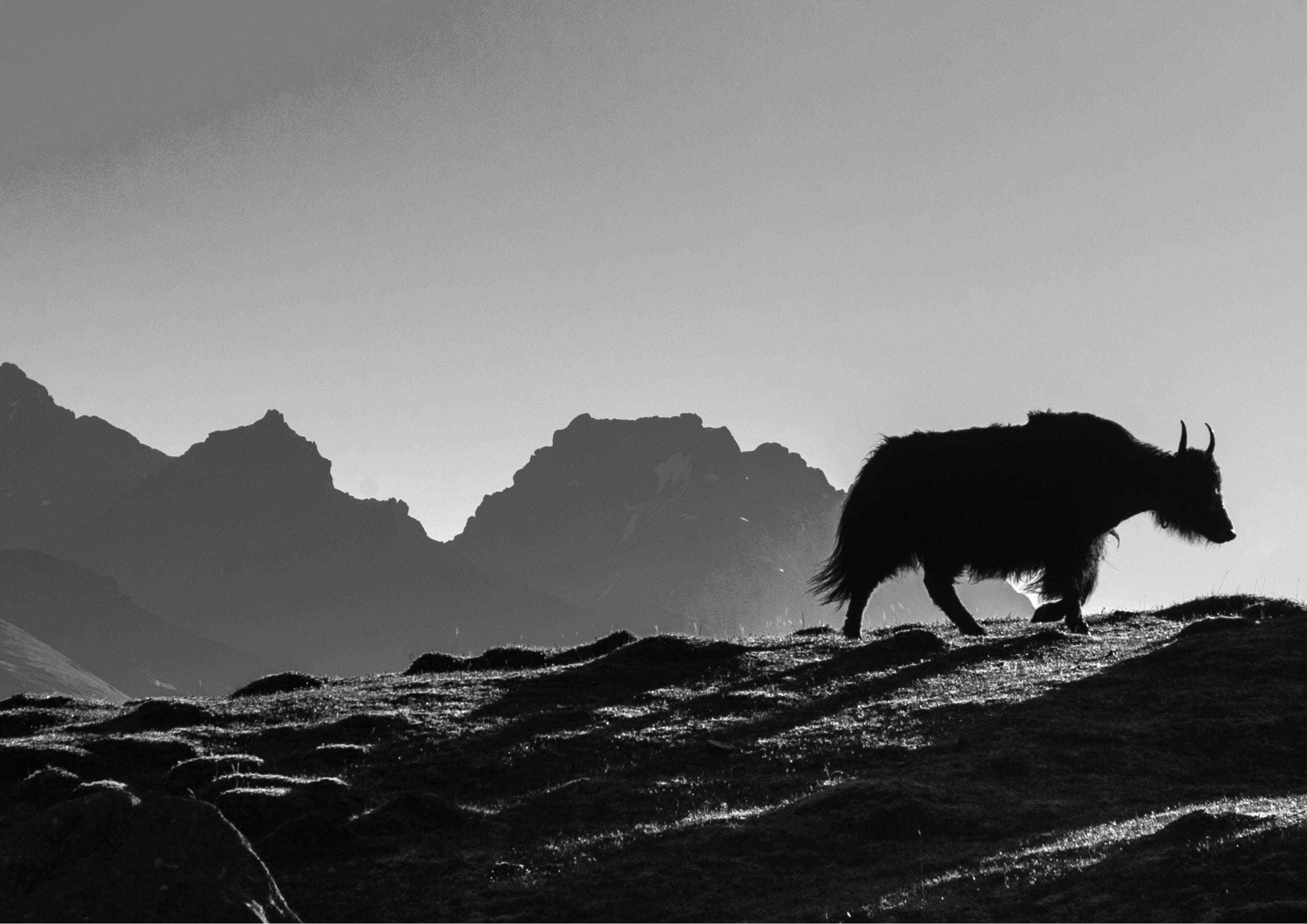 Kham, la tête dans le ciel