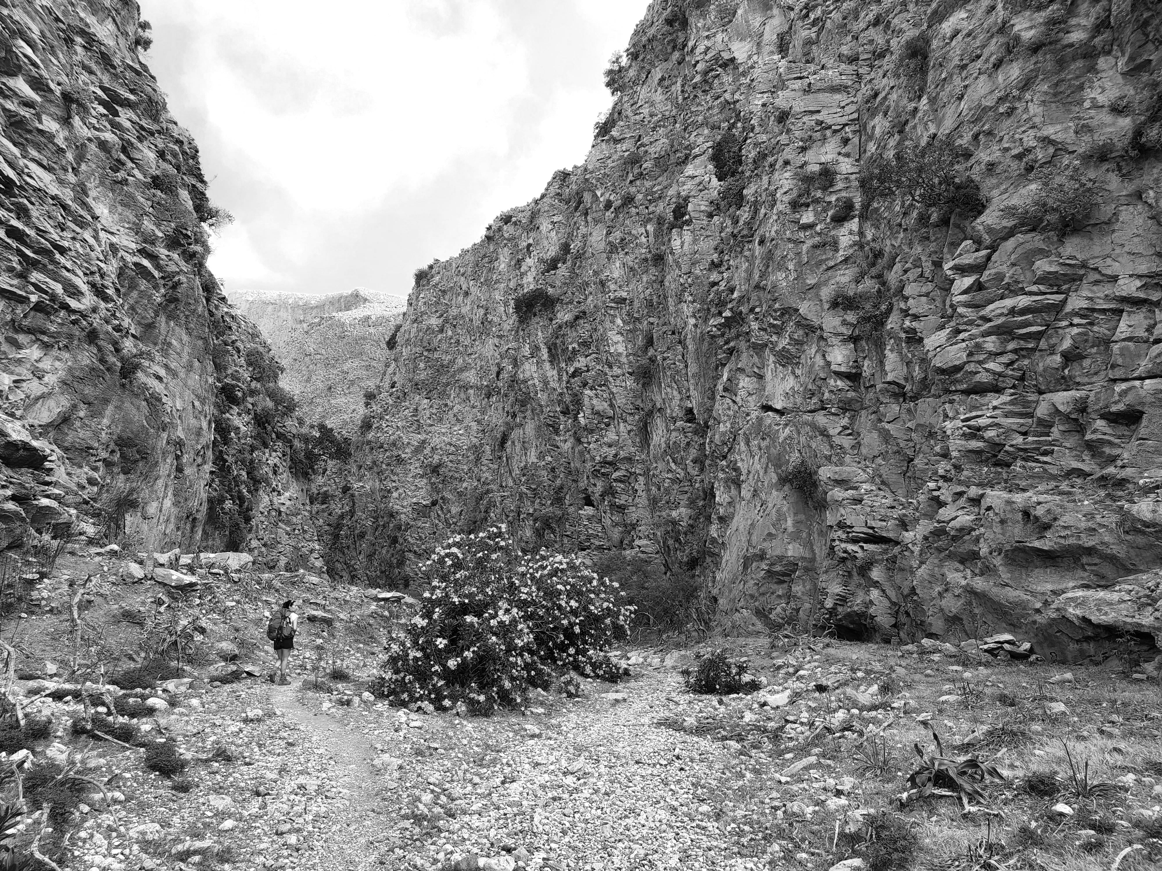 De la montagne à la montagne: La Crète des bergers