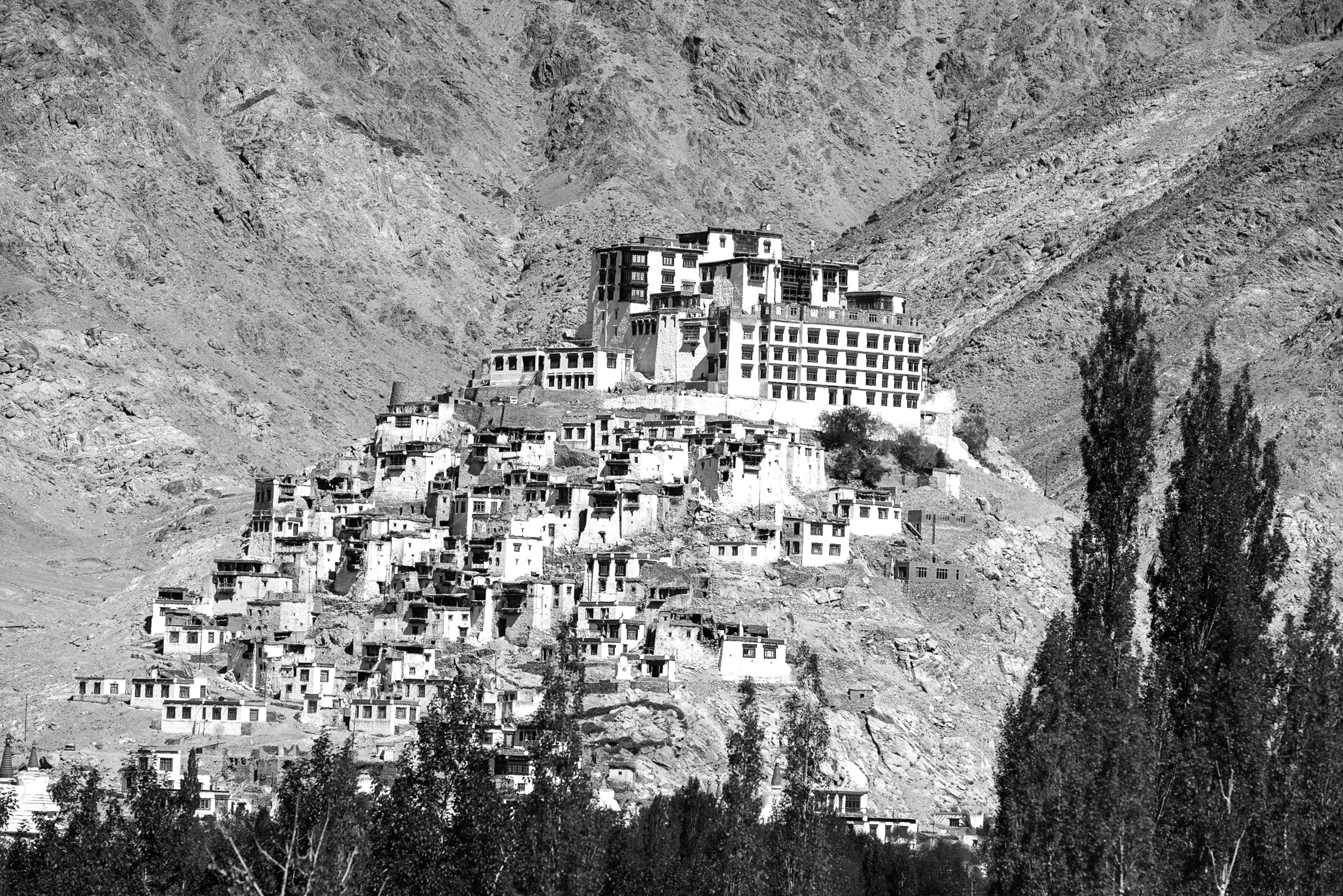 Zanskar et Chang Tang : la géologie et la biologie heureuse