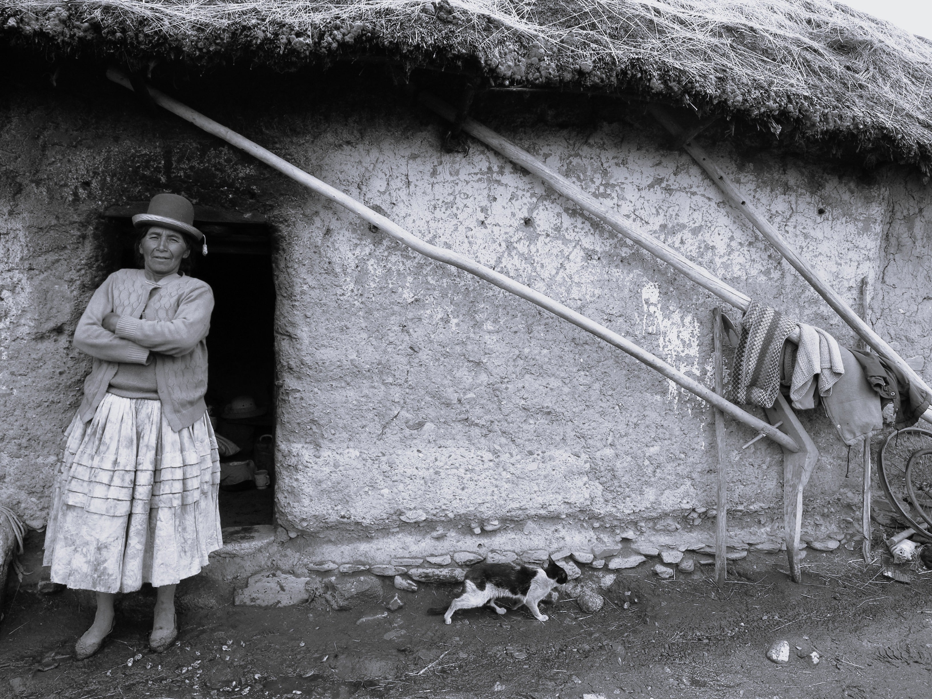 © David Ducoin